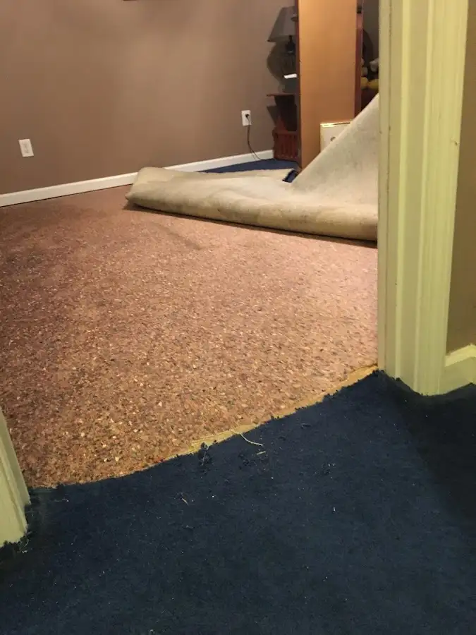 Carpet pad removal revealing water damage during Drying & Dehumidification in Glassboro